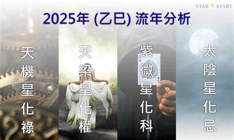 2025五行|2025年，乙巳年，紫微斗數流年運勢分析，詳細介。